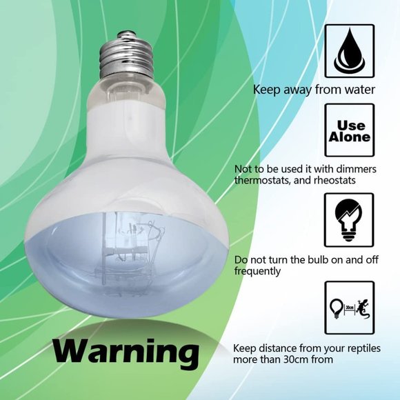 R80 75W Reptile Bulb - Picture 4 of 4